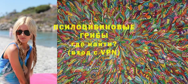 ГАЛЛЮЦИНОГЕННЫЕ ГРИБЫ Аркадак