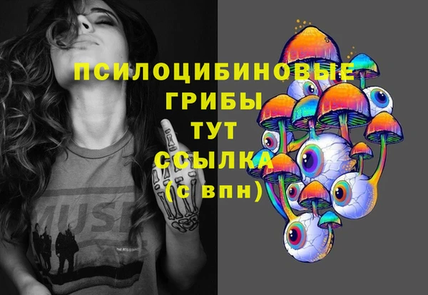 ГАЛЛЮЦИНОГЕННЫЕ ГРИБЫ Аркадак
