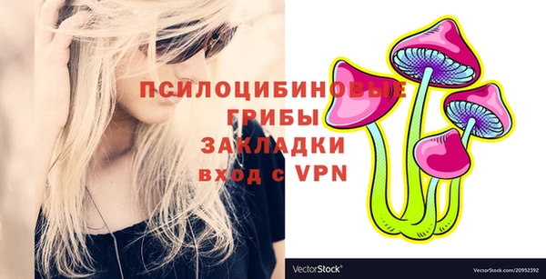 трава Арсеньев
